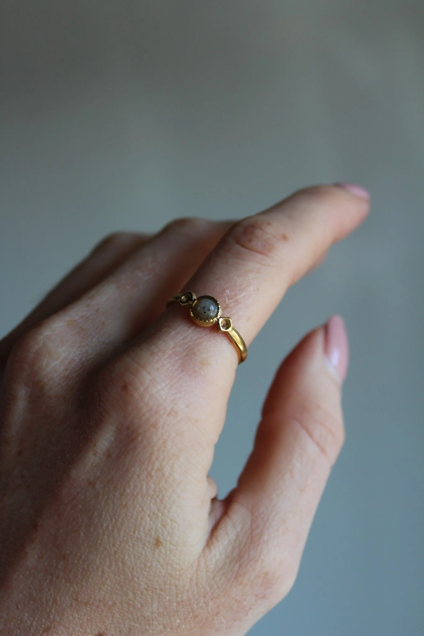Danira - Ring - Stainless Steel - Adjustable - Image 2