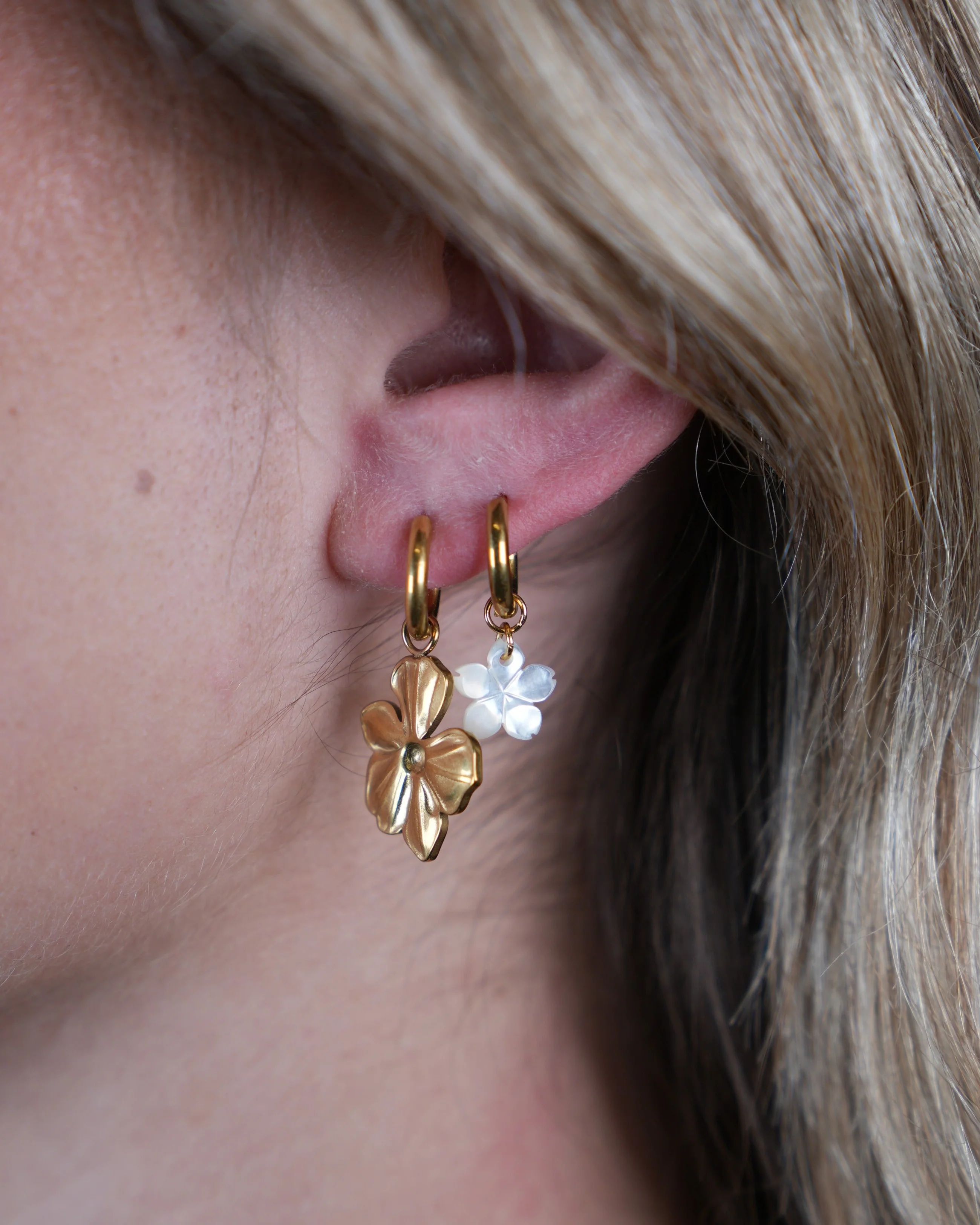 Flower Shell - Earrings - Stainless Steel - Image 2